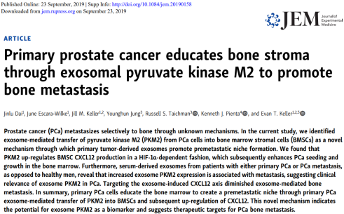 原发性前列腺癌通过外泌体中的PKM2促进肿瘤细胞向骨基质的转移